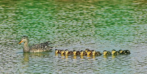 微软将于本周四举办Xbox合作伙伴预览活动